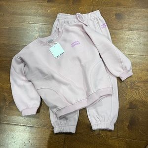 NWT Zara Pink Jogger Set